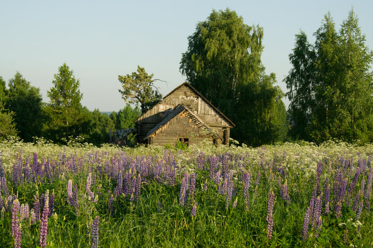 . - Александр Горячев