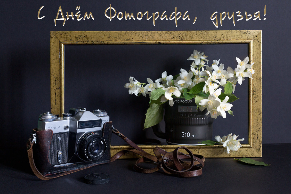 12 июля - День фотографа - Татьяна Королёва