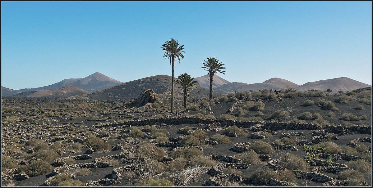 Lanzarote, 2017. - Jossif Braschinsky