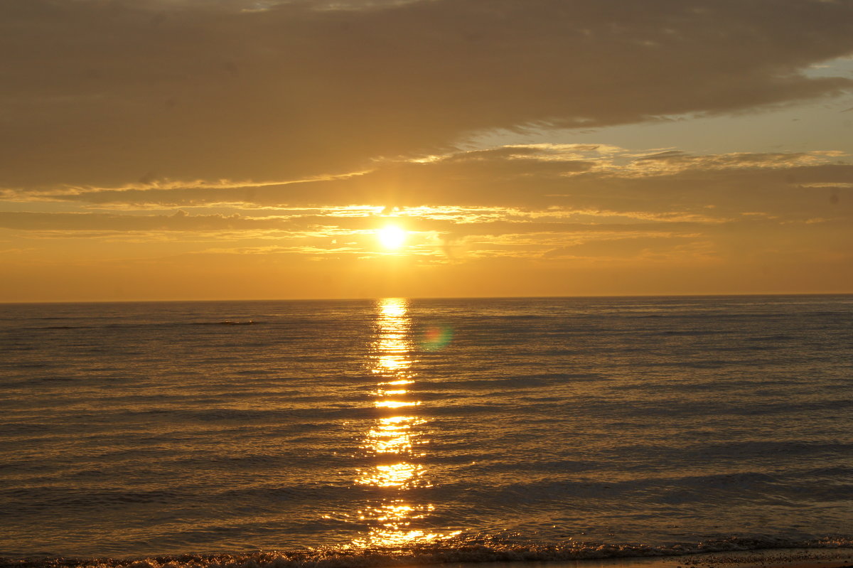 Вечернее солнце над Финским заливом - Александр Горячев