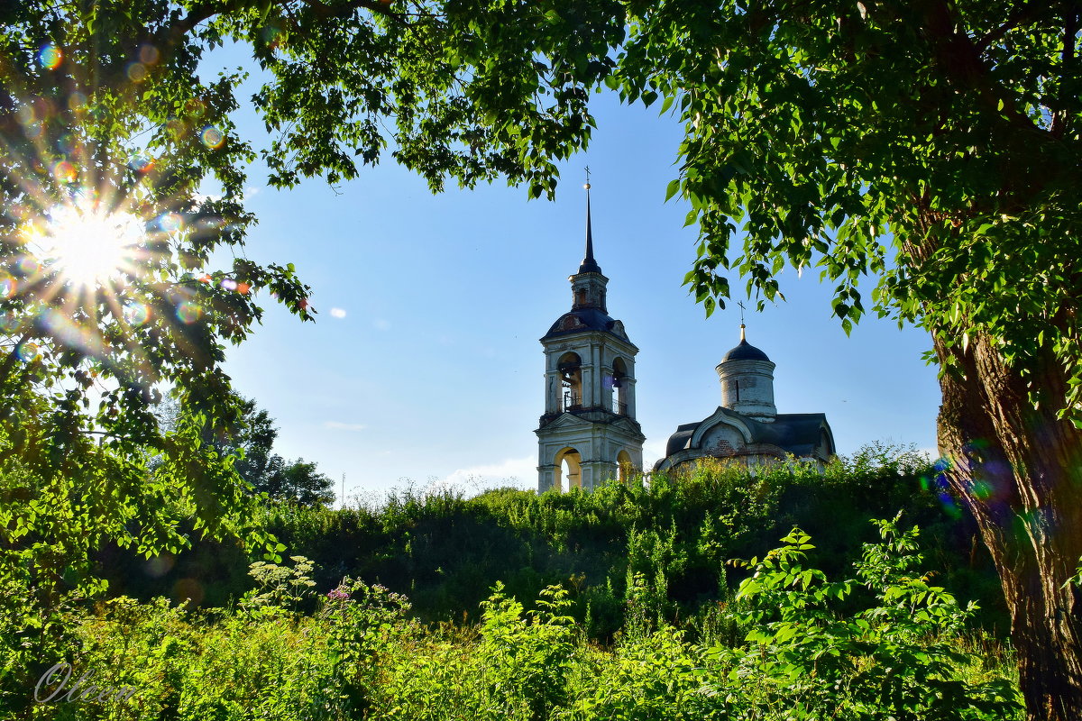 В рамке, сотканной из солнечного лета - Olcen Len