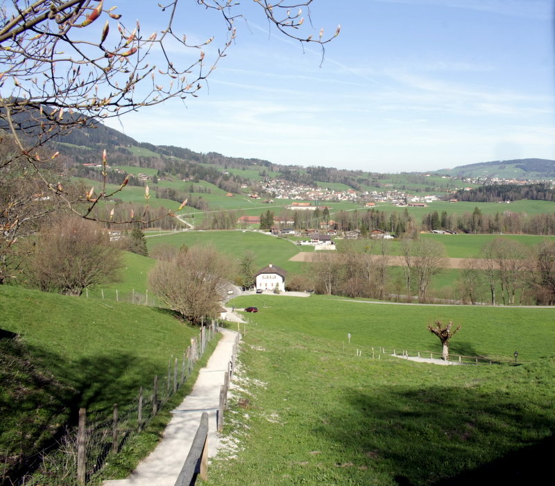 Весна в Швейцарии.. - mirtine 