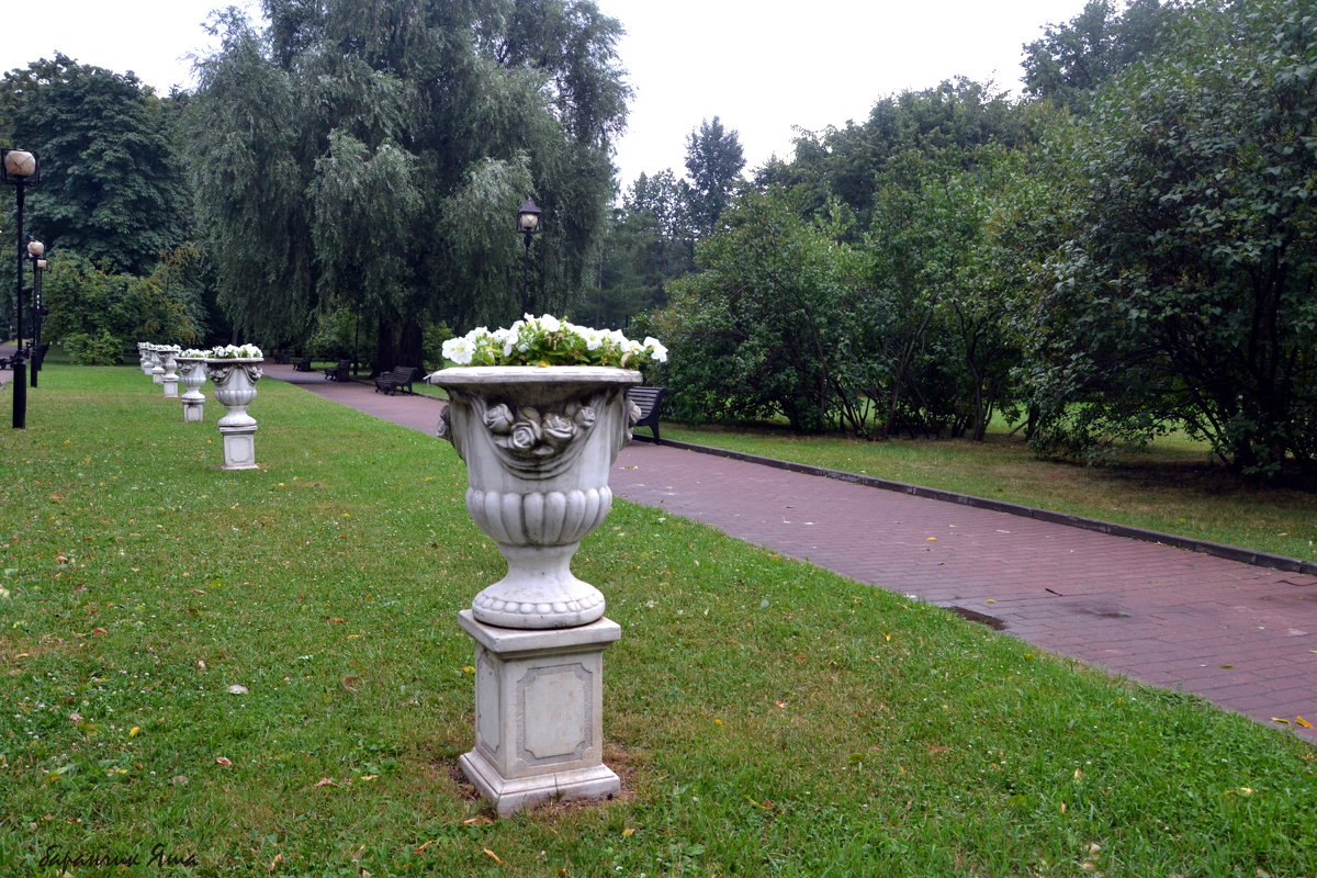 Вазоны в Екатерининском парке - Яша Баранов