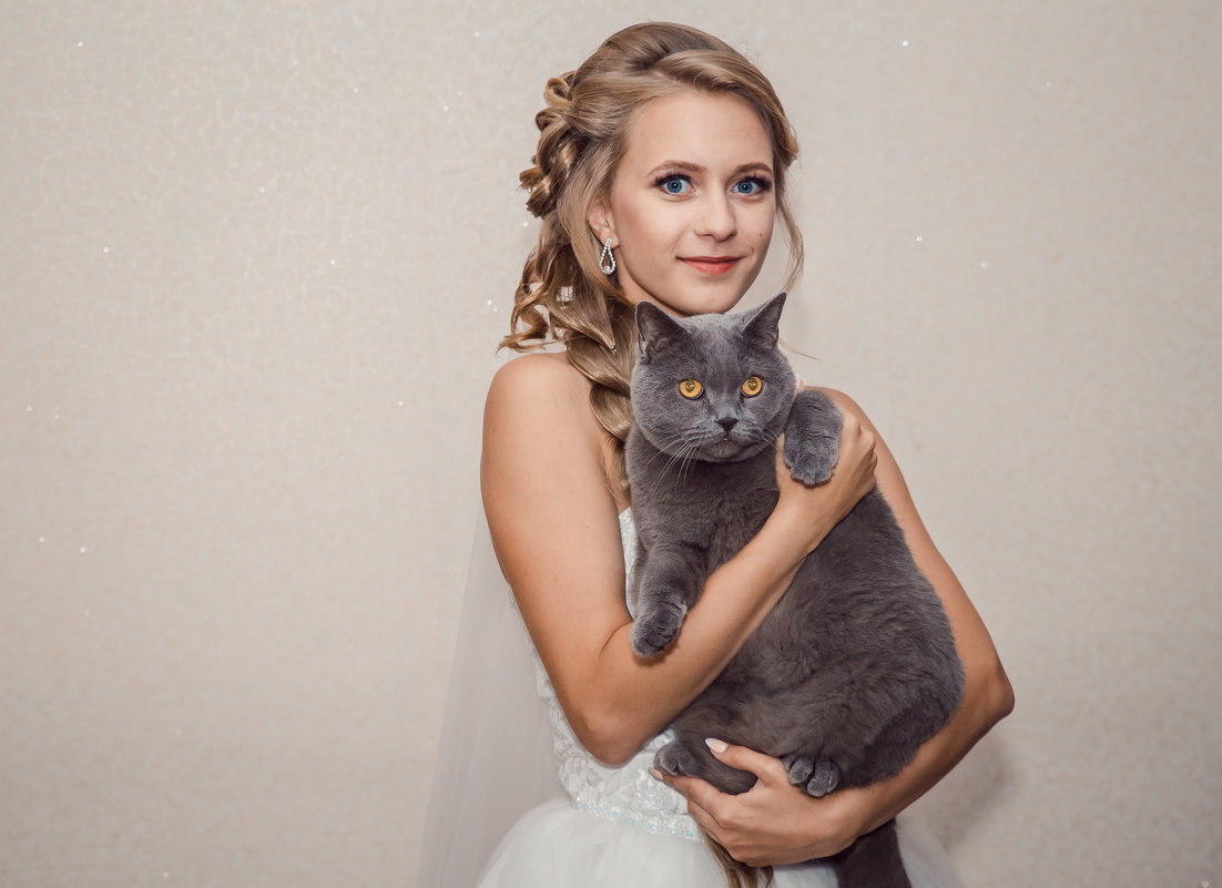 Кот невесты - Ольга Кошевая