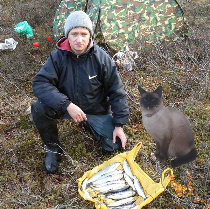 Счастье рыбака и его кошки. - Ирина Крохмаль