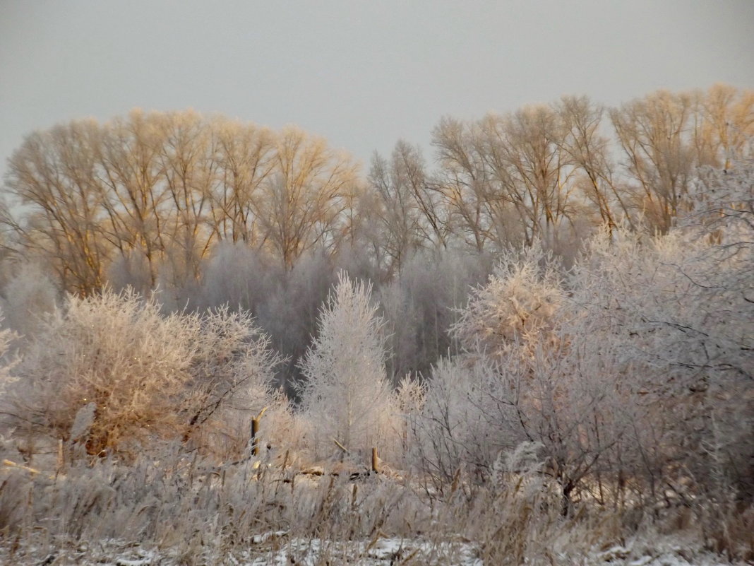 Зимний пейзаж - Светлана Рябова-Шатунова