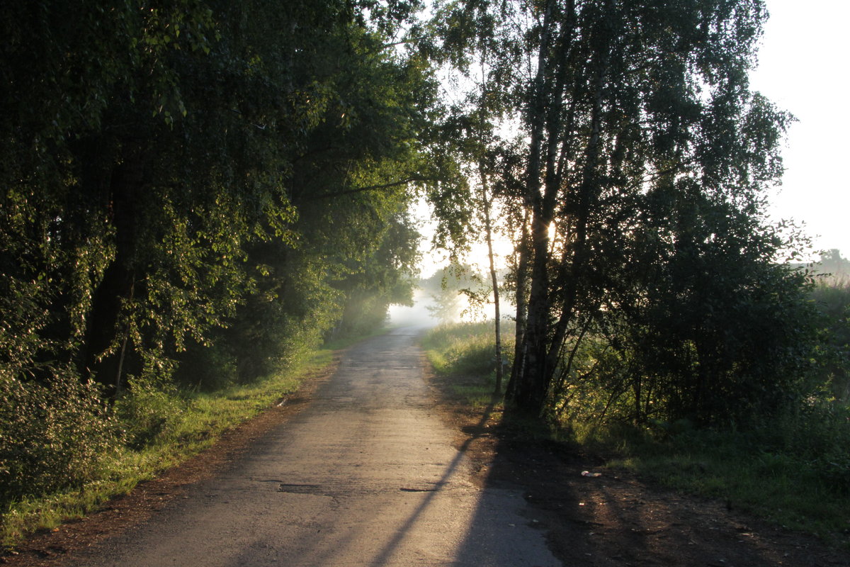 раннее утро - Александр ***