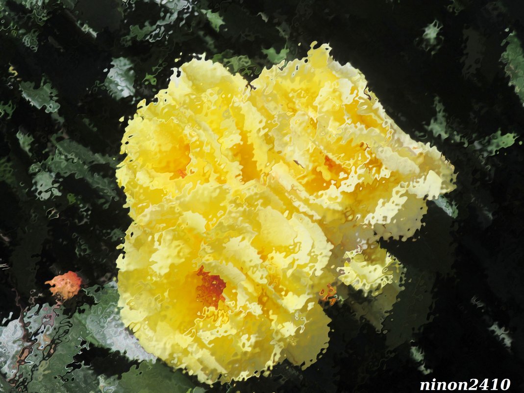 Жёлтые розы - Нина Бутко