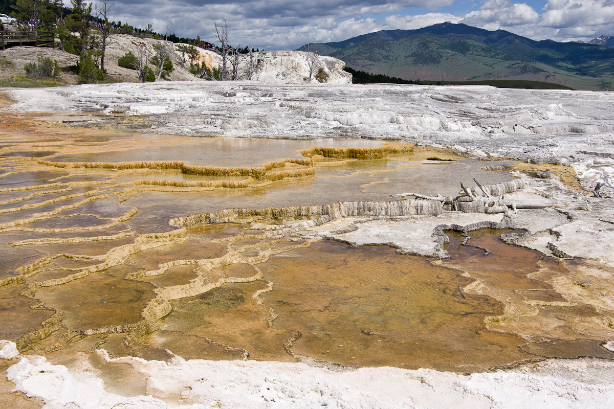 Йеллоустоун. Mammoth hot springs. - Александр Крупский