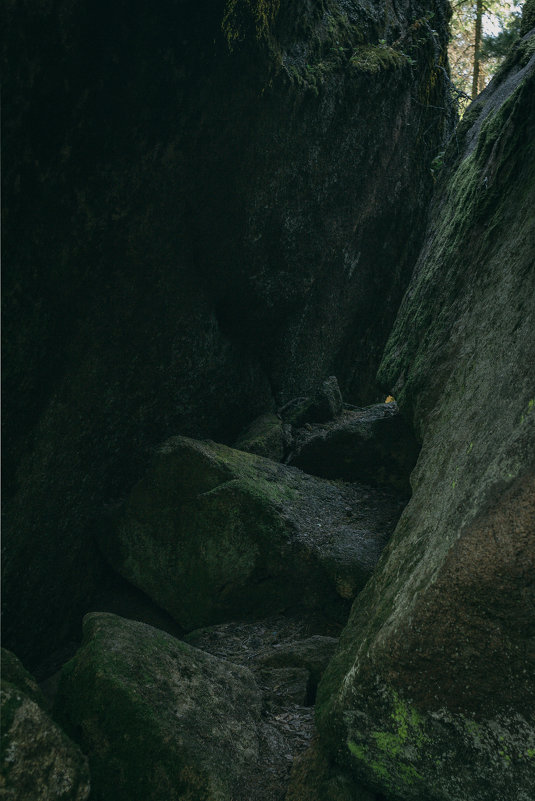 National park Stolby, Russia, Siberia, Krasnoyarsk. - Igor Novikov