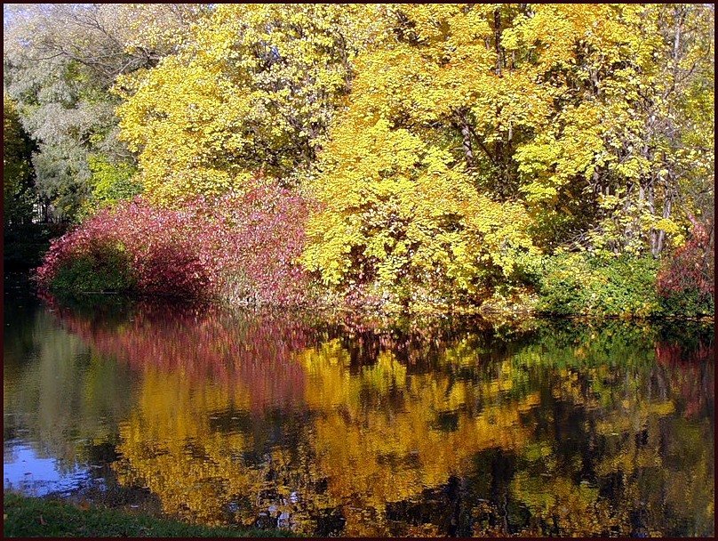 Осень в Пушкине - vadim 