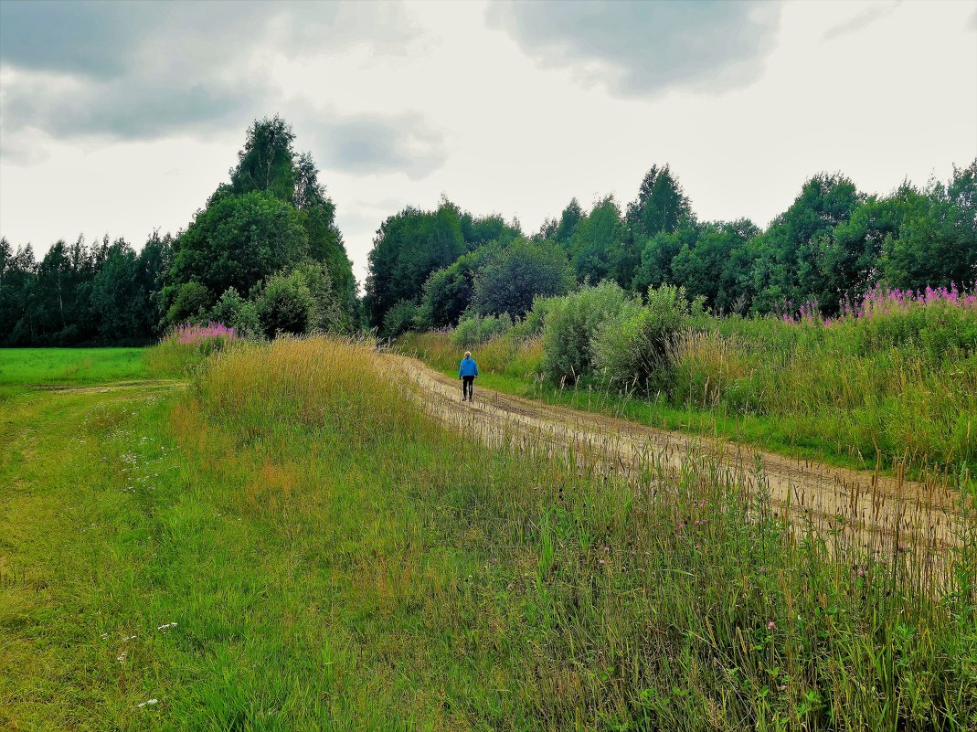 Дорога в лес на Гришкина... - Sergey Gordoff