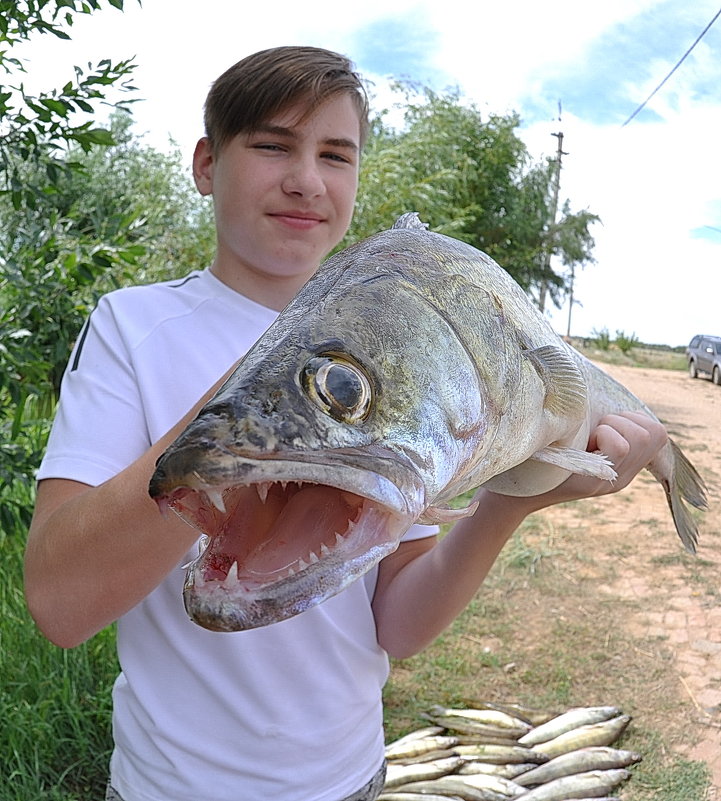 *** - Сергей Дружаев