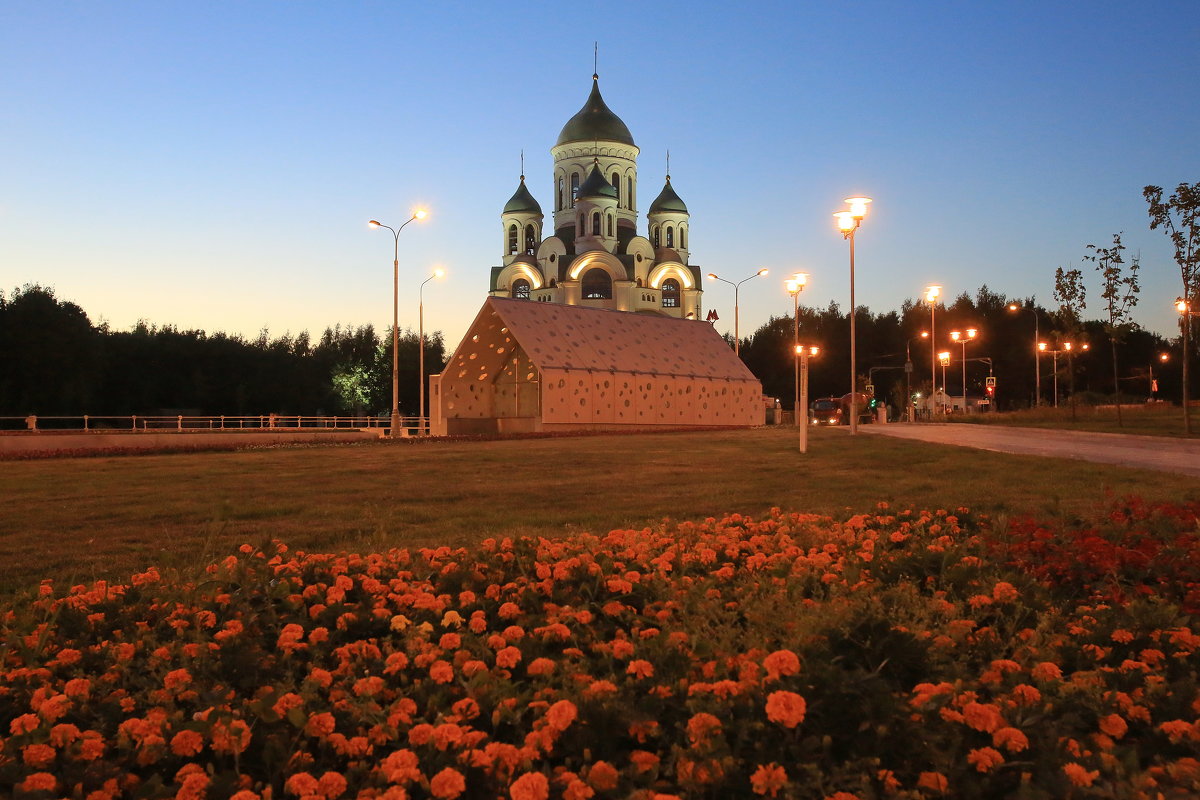 Солнцево - Ninell Nikitina