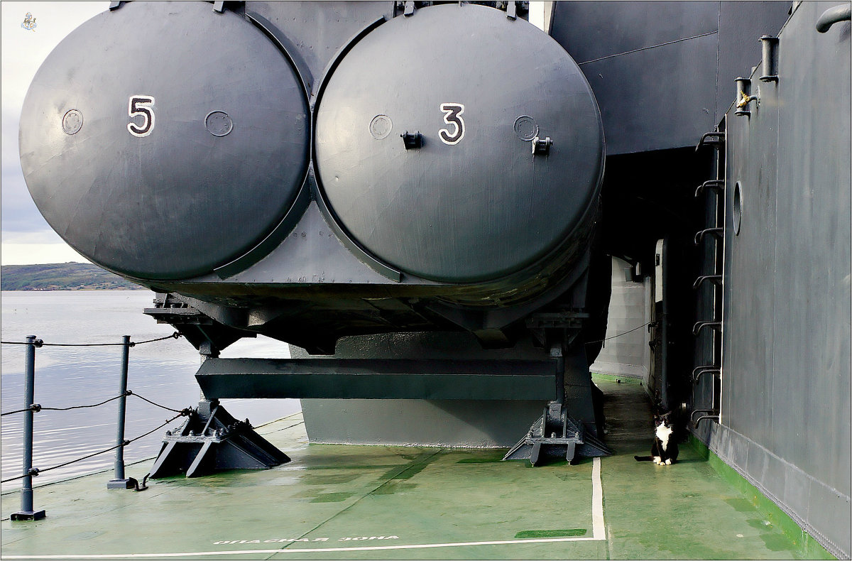 Корабельная кошка и ракетные контейнеры - Кай-8 (Ярослав) Забелин
