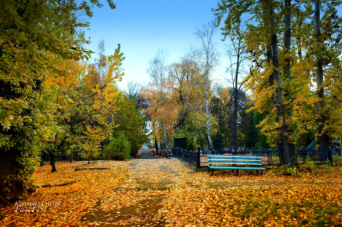 Осень в старом  в парке. - Анатолий Уткин