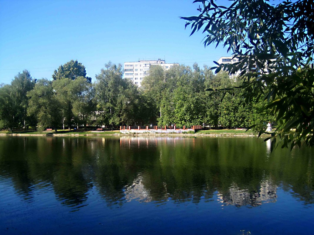 Летом на озере - Елена Семигина