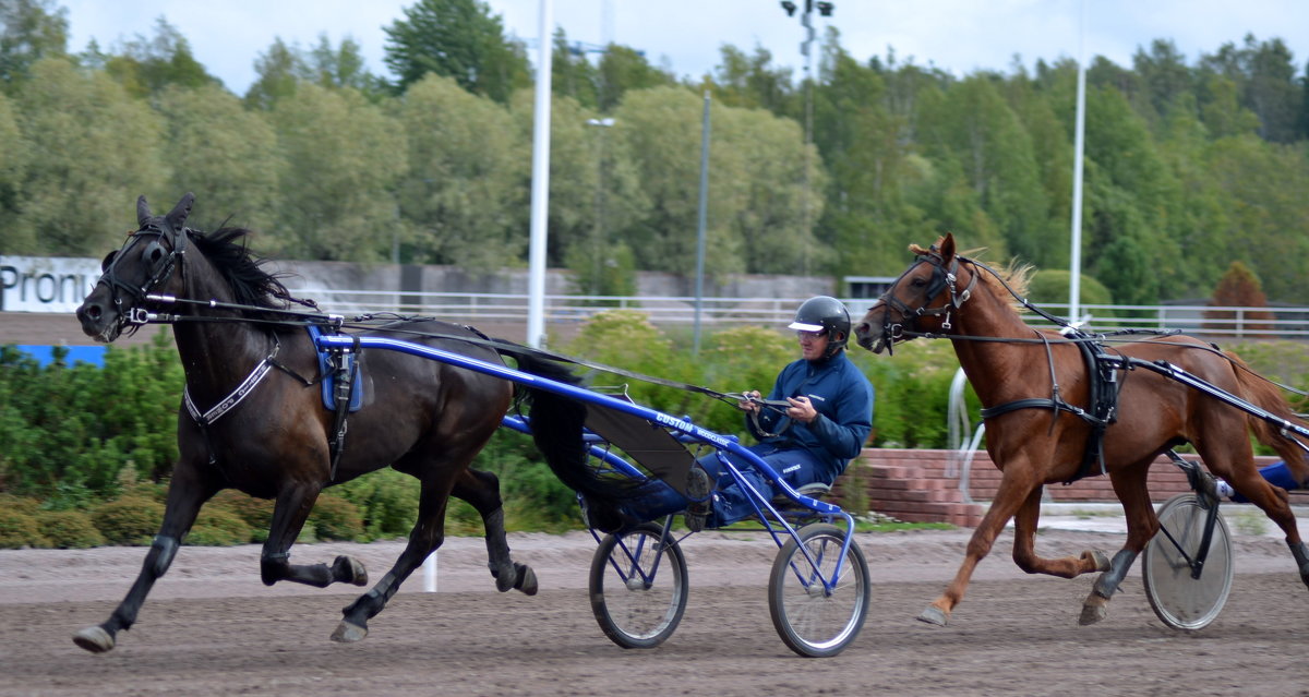 000 - Caren Yvonne Rikkilä