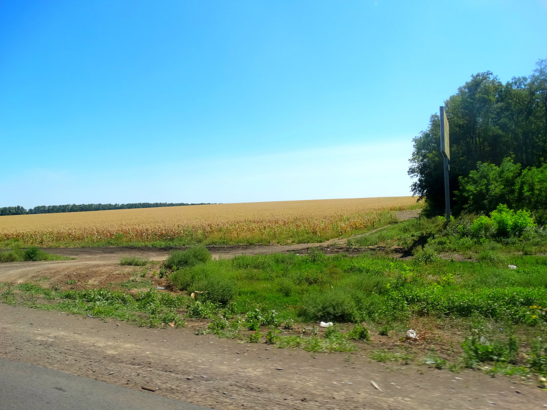 Август,зарисовки за городом... - Тамара (st.tamara)