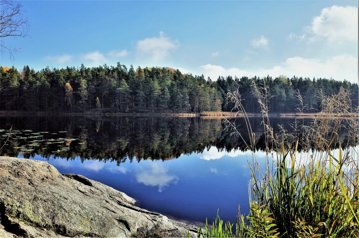 Национальный парк Tyresta Швеция - wea *