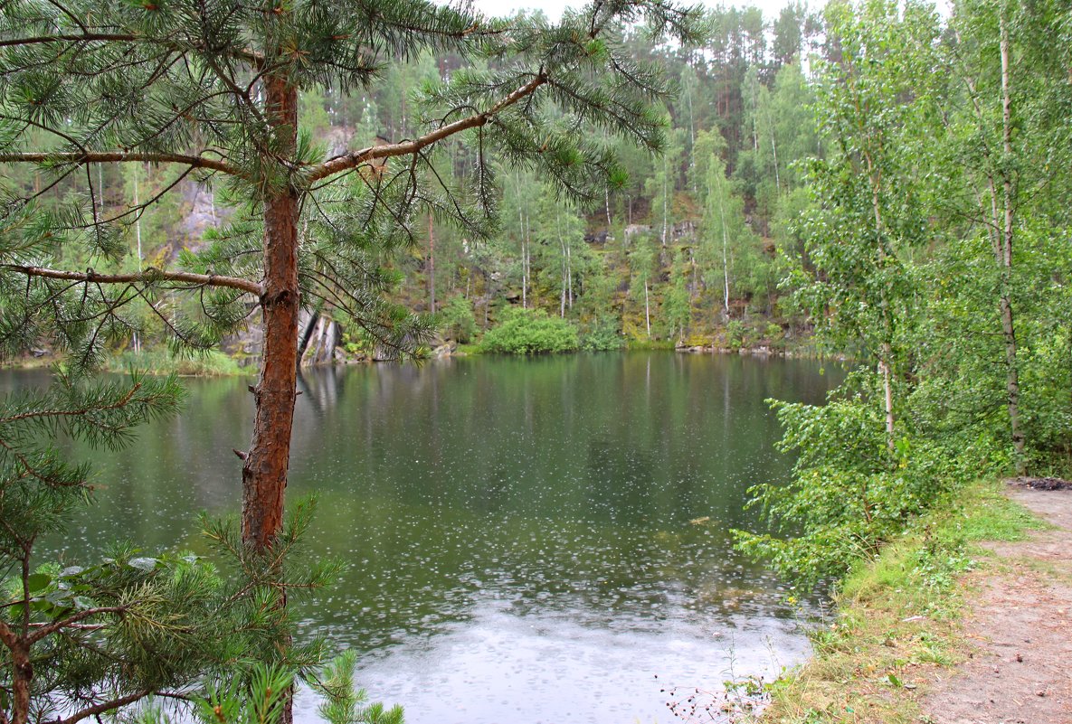 Прогулка в дождливый день - Елена Викторова 