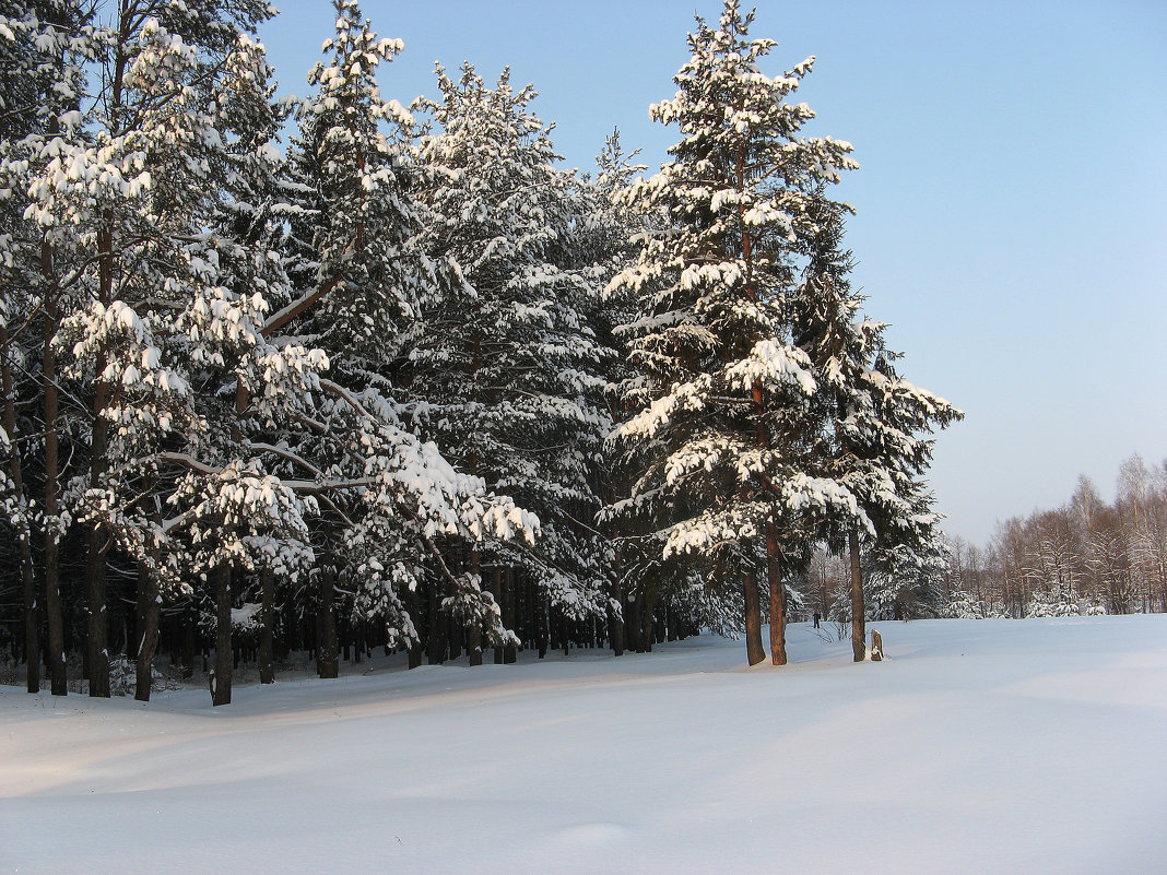 Зима, Рекшино, Нижегородской области - Сергей 