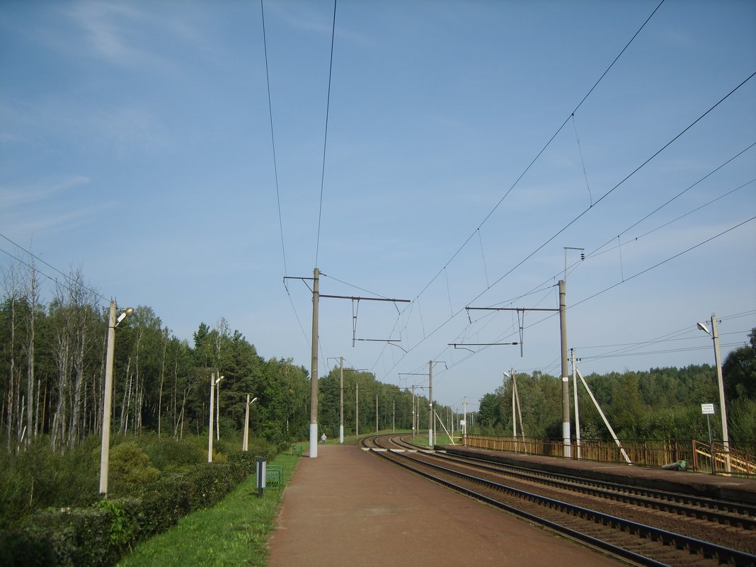 Дорога на запад - Алёна Сапунова