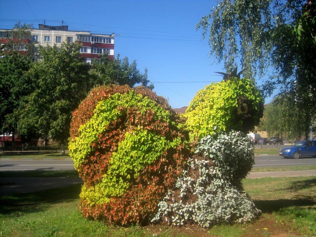 Украшение города - Елена Семигина