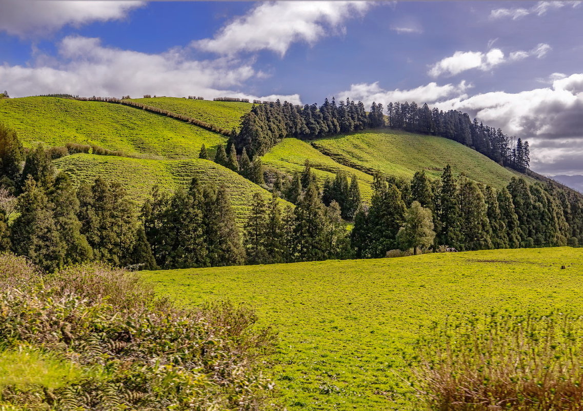 Azores 2018 Sao Miguel 38 - Arturs Ancans