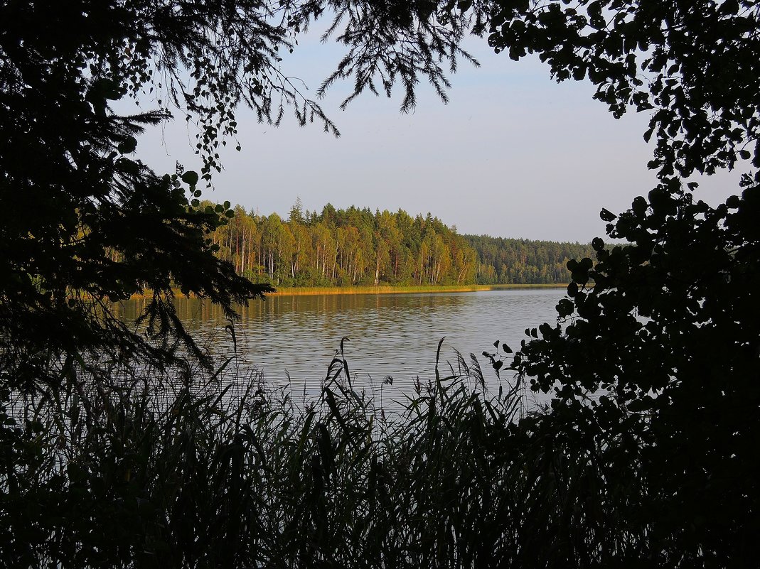 Озеро - Александр Сапунов