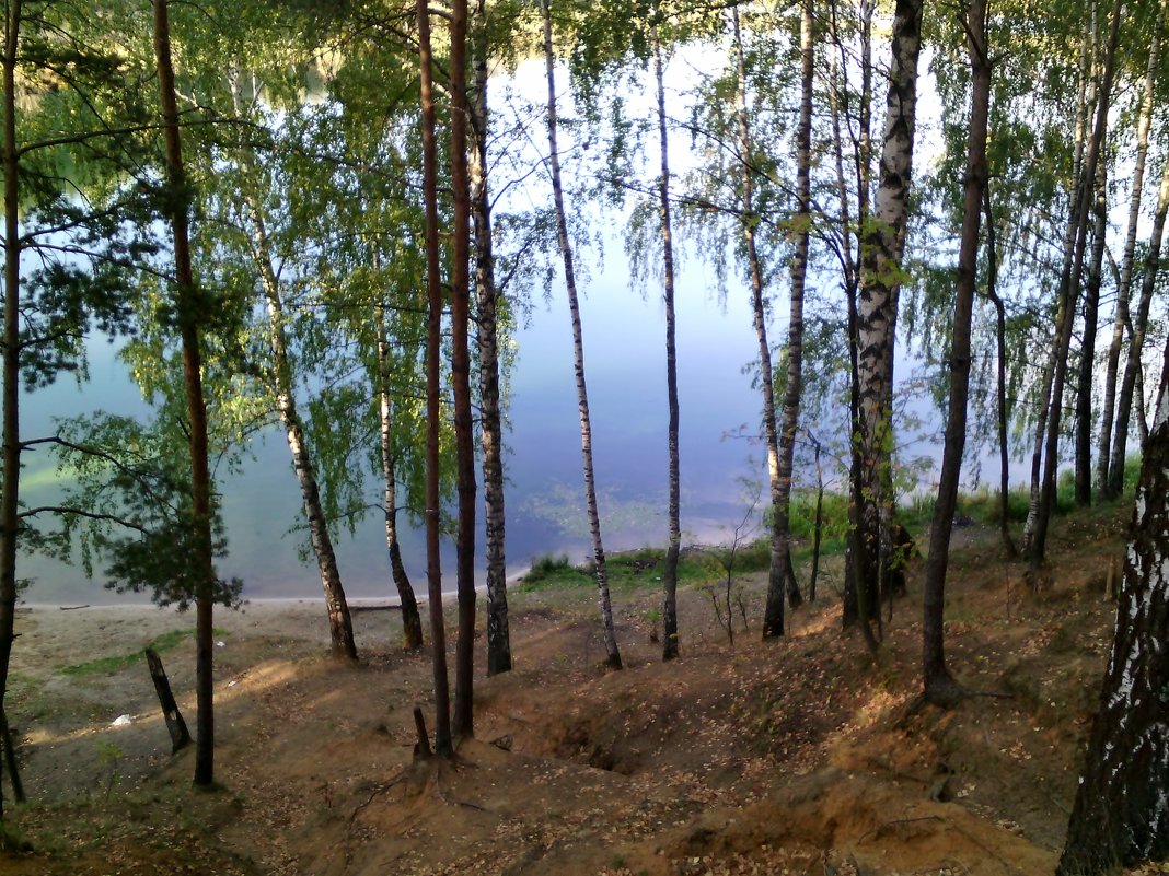 Увиденная красота в лесу вчера 14 сентября 2018 года - Ольга Кривых