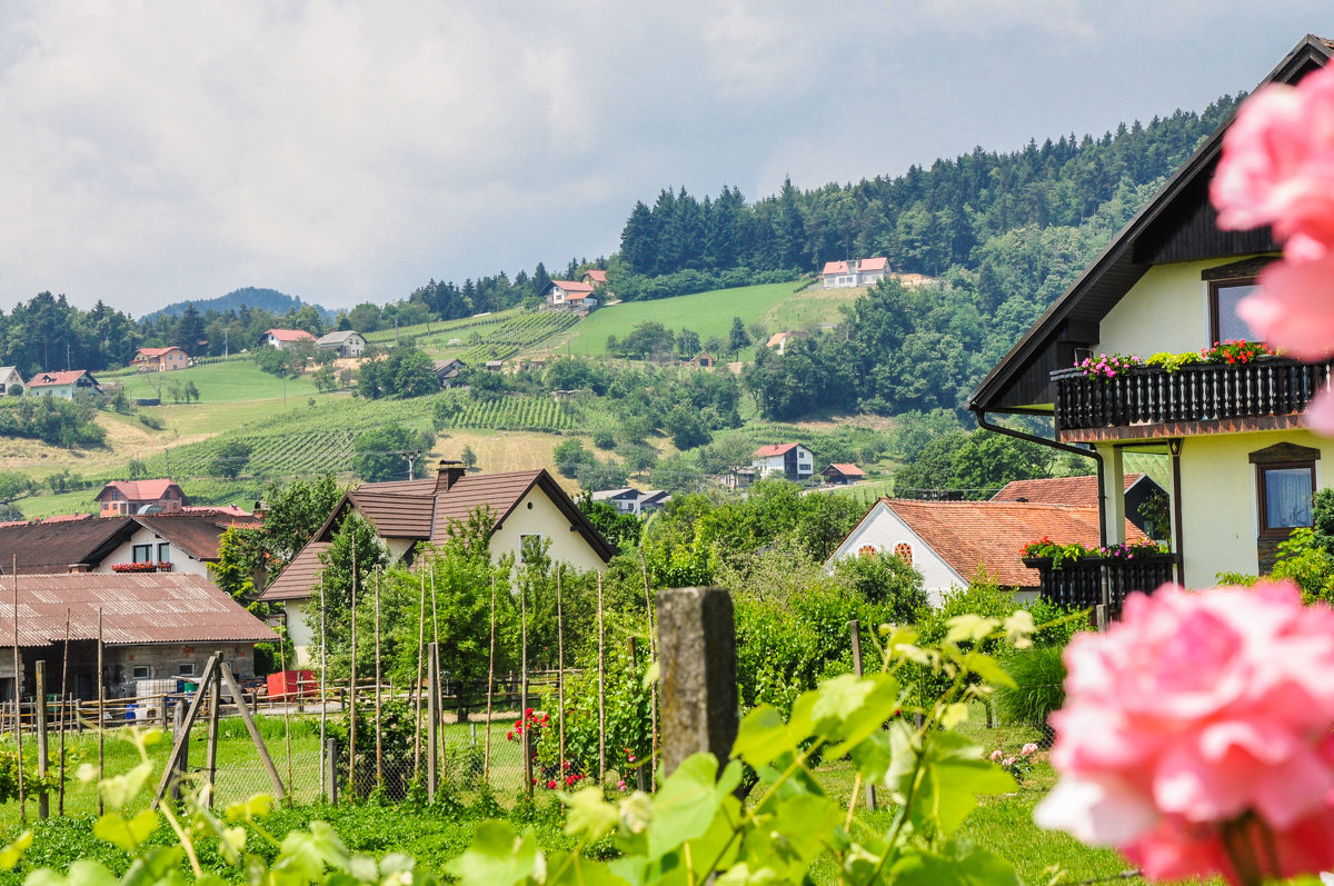 Slovenia - Anastasiya Verlak