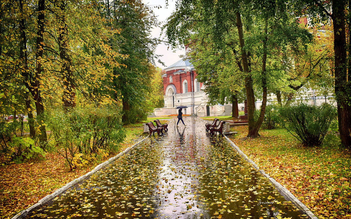 Осень в городском парке - Валерий 