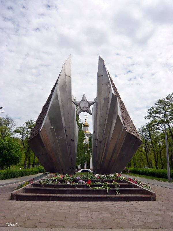 Мемориал памяти воинов интернационалистов - Татьяна Ларионова
