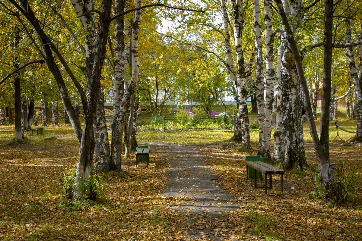 «Осень в парке» - Александр Гладких