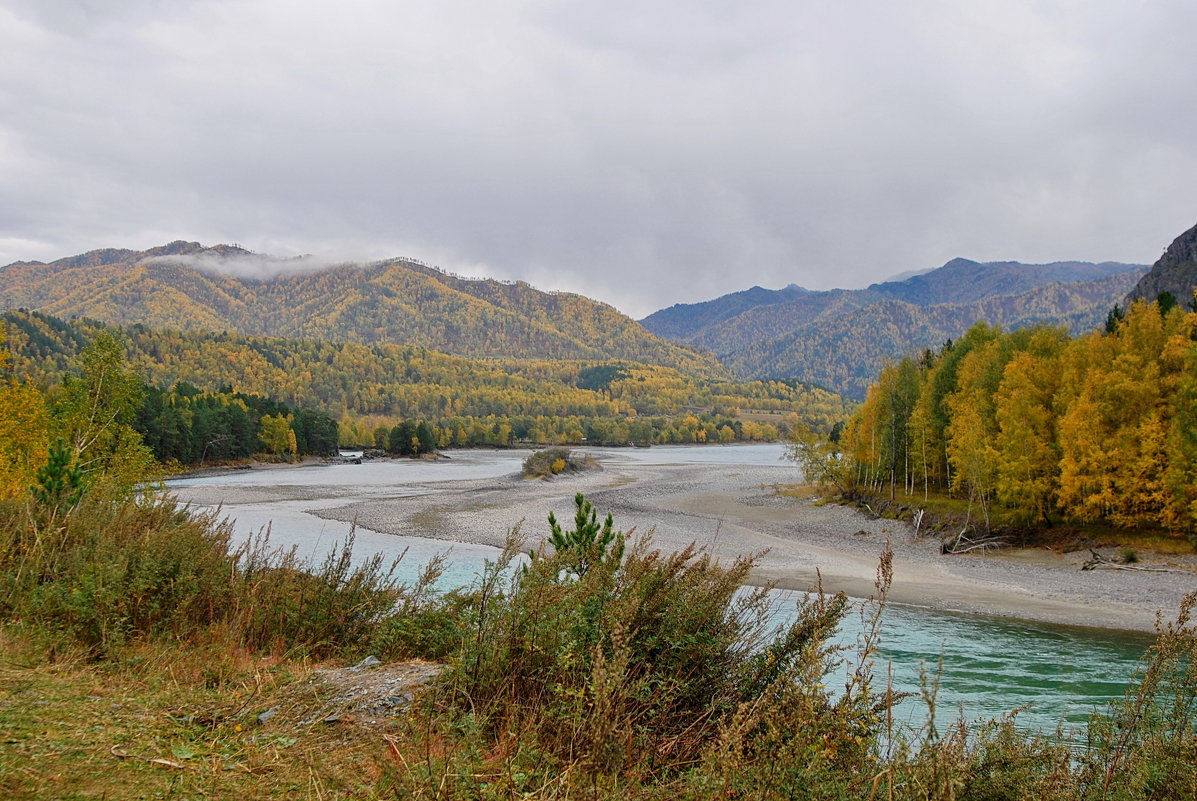 Река Чарыш горный Алтай