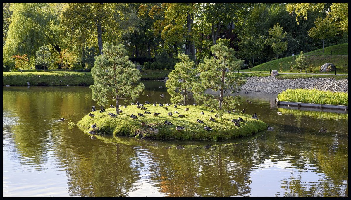 Tallinn, park Kadriorg. - Jossif Braschinsky