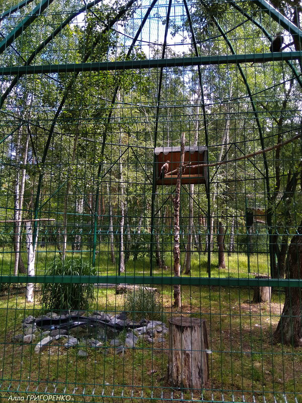 В Белгородском зоопарке (10) - Алла Григоренко