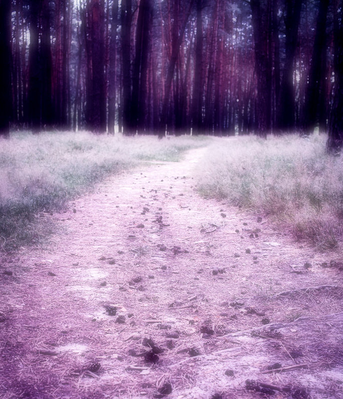 Forest dreaming. - Андрий Майковский
