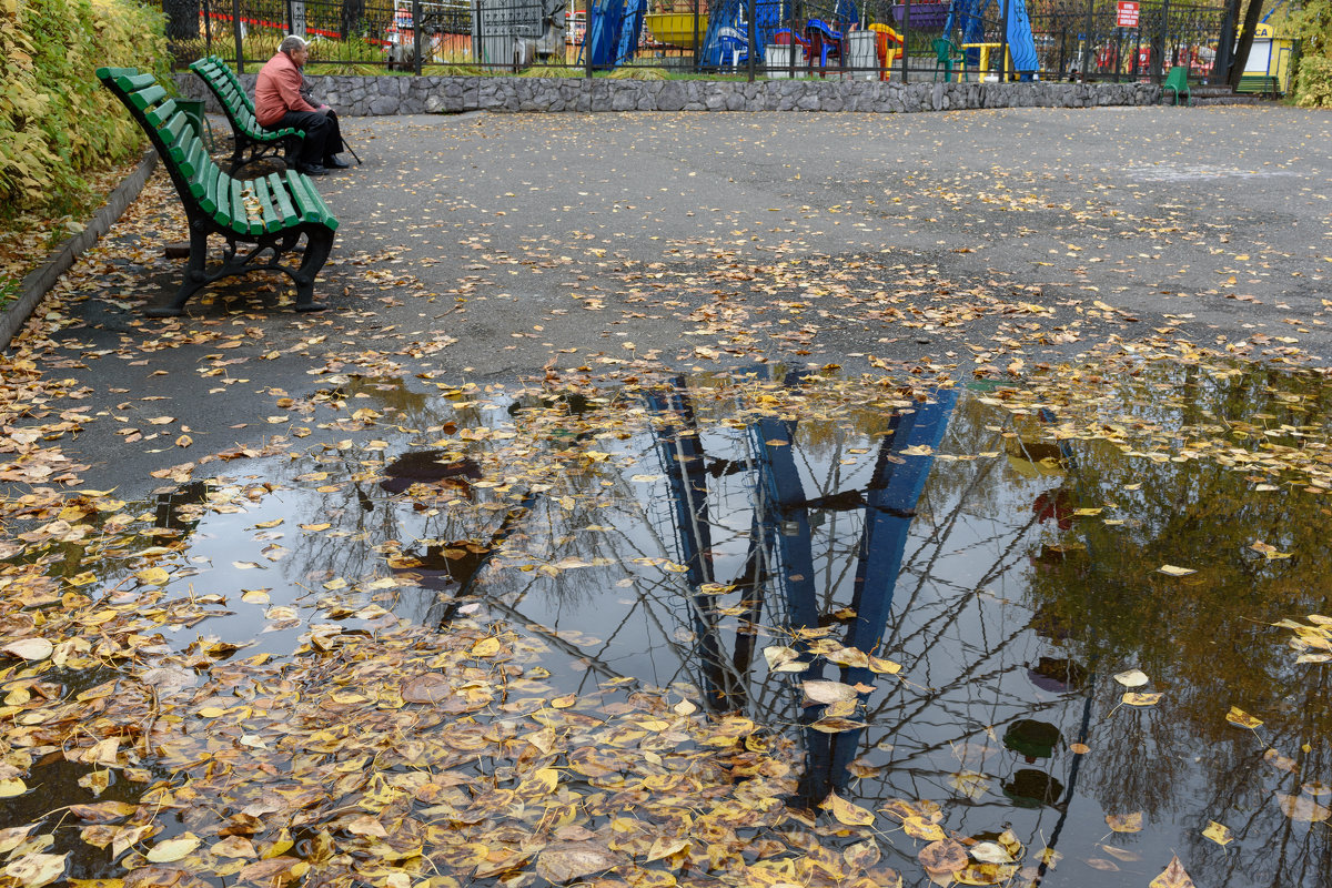 Осень в парке - Валерий Михмель 
