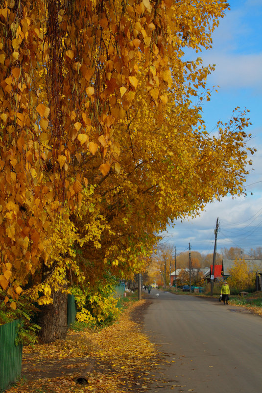 Вдоль по осени - Грег 