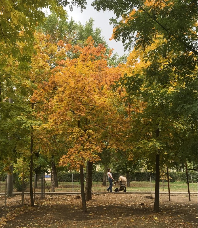 В осеннем парке - Надежда 