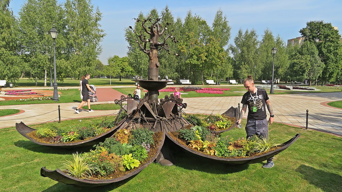 Волшебный сад "Яйцо"(метаморфозы) - Виталий Селиванов 