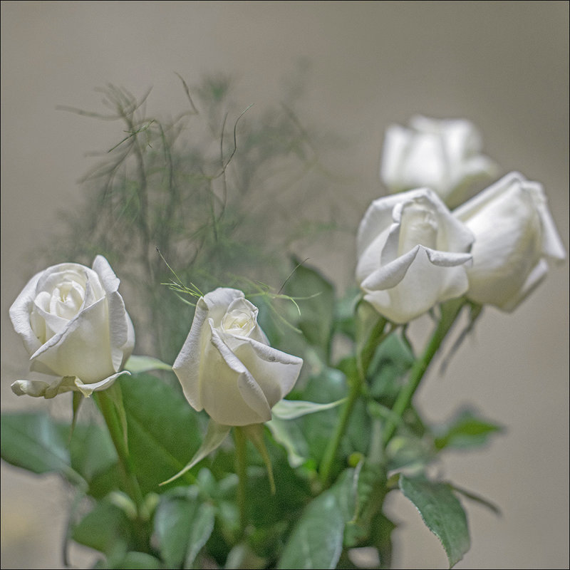 Белые цветы - Юрий Васильев