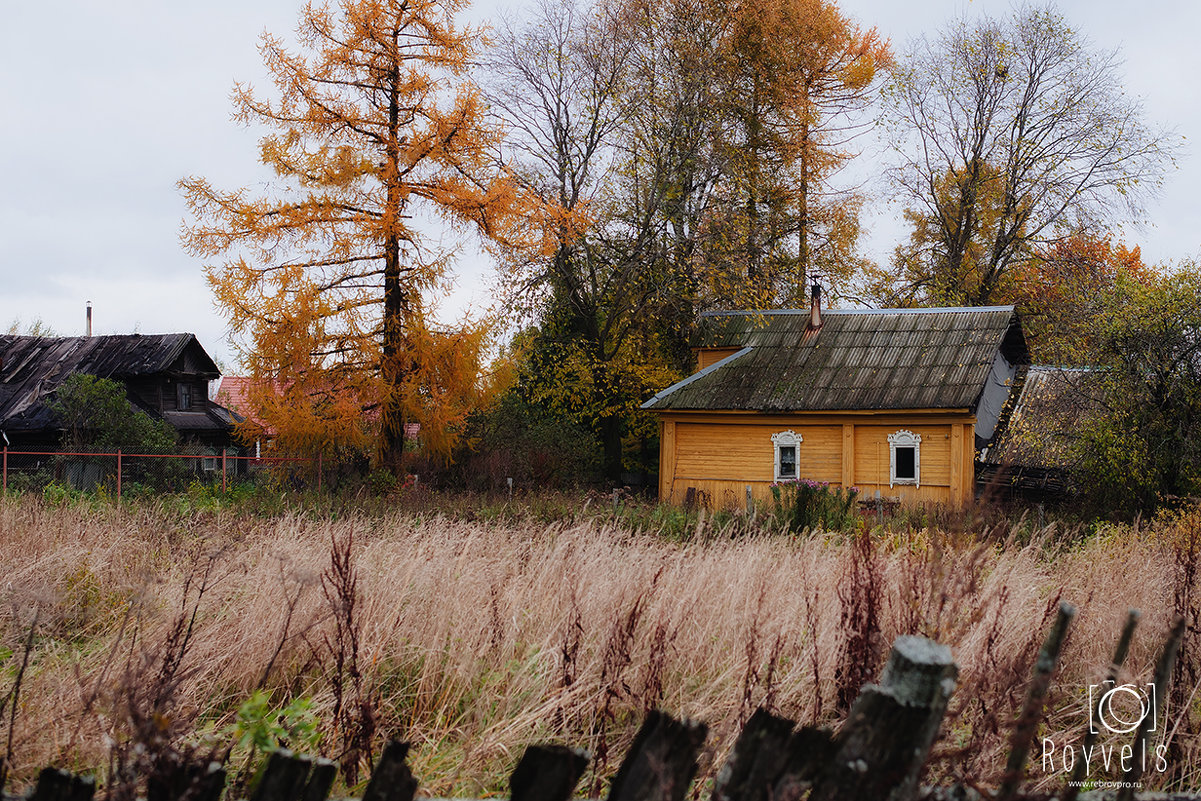 Осень в деревне - Александр Ребров