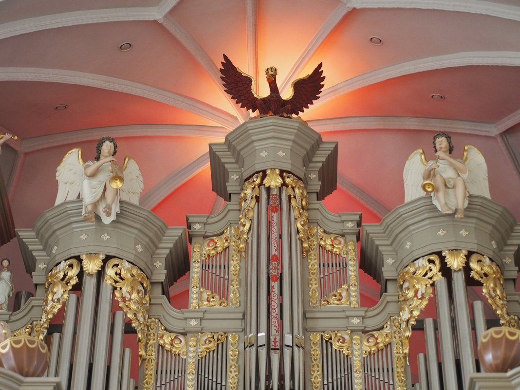 органный зал Кафедрального собора в Калининграде - elena manas