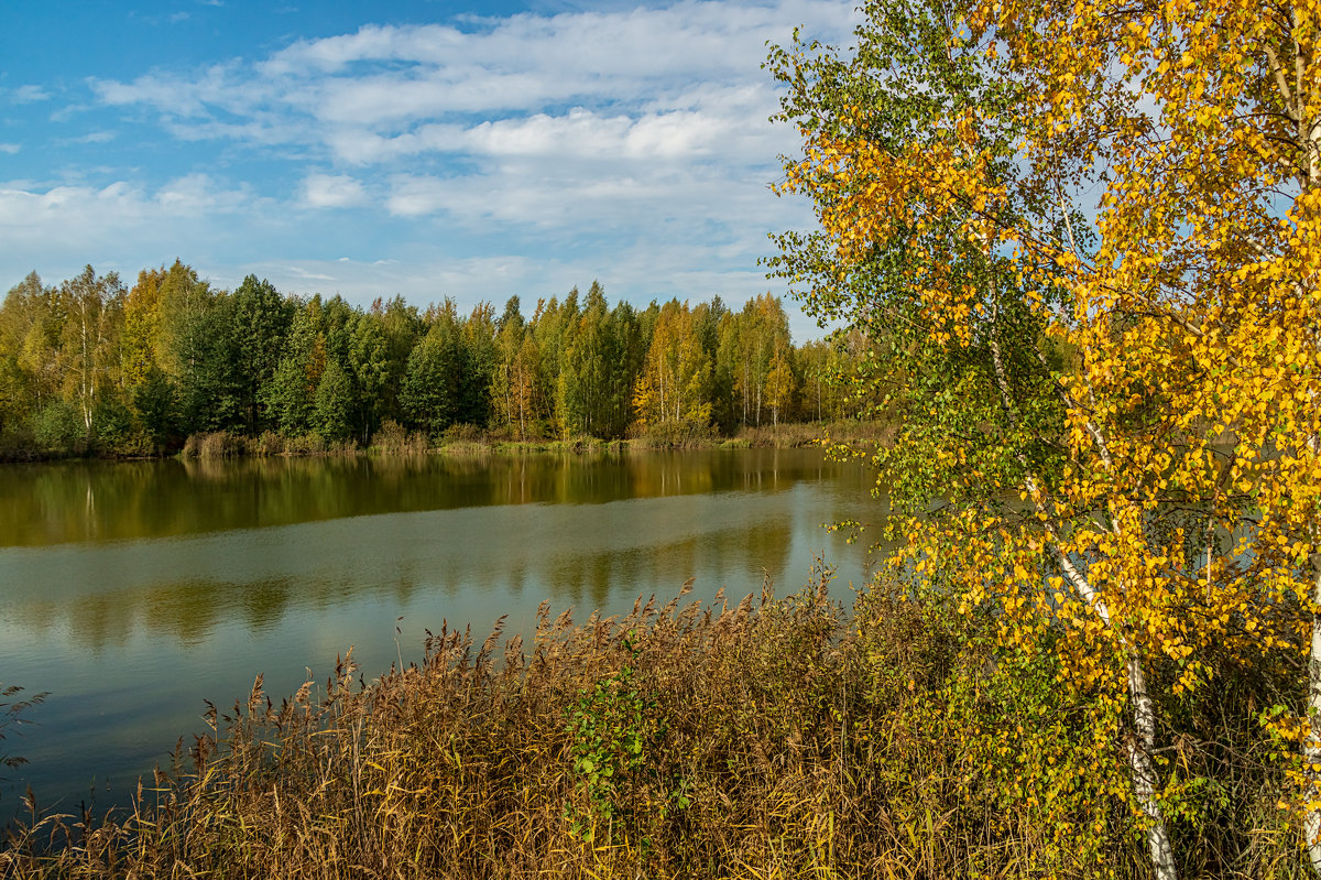 Тёплый октябрь 2 - Андрей Дворников