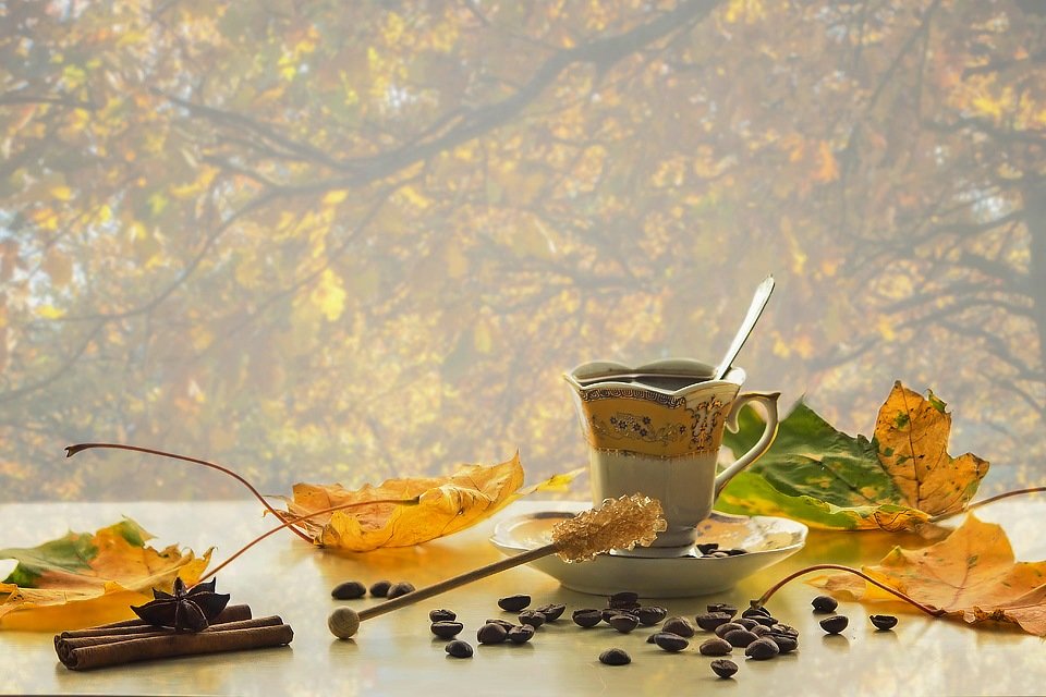 Осенняя чашка кофе - Ирина Приходько