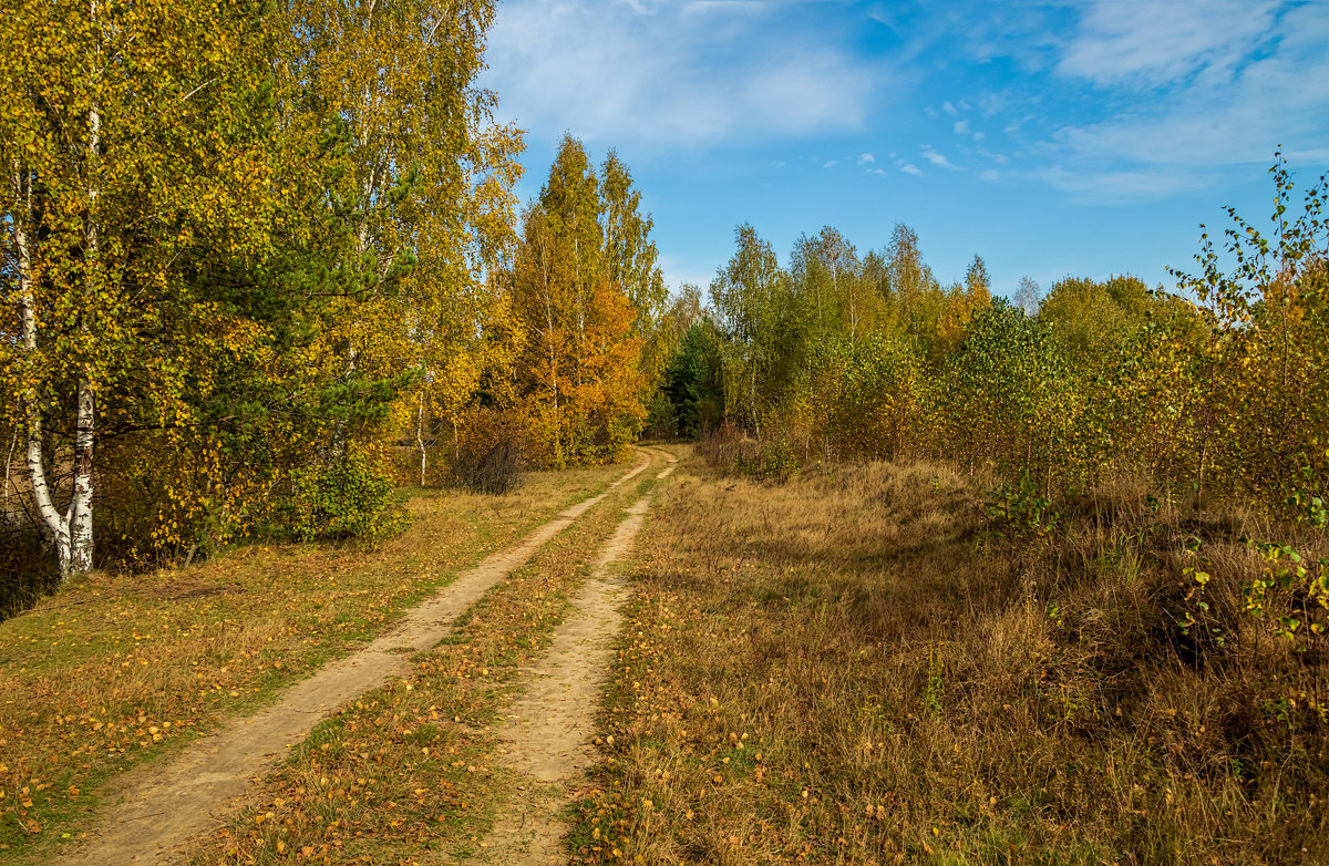 Тёплый октябрь 3 - Андрей Дворников