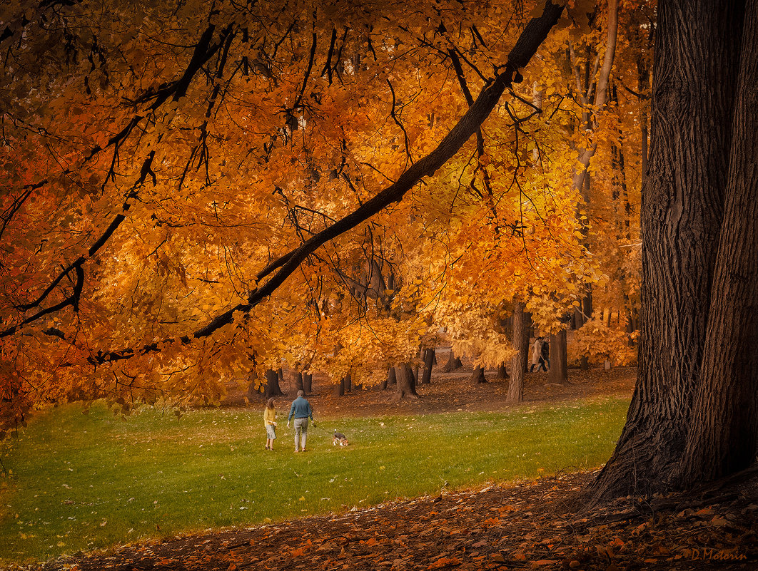 Осень в парке - Дмитрий Motorin